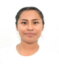 Maria del Carmen Castillo Avendaño