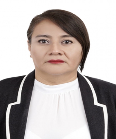 Irma Ramirez V&aacute;zquez