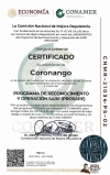 Coronango