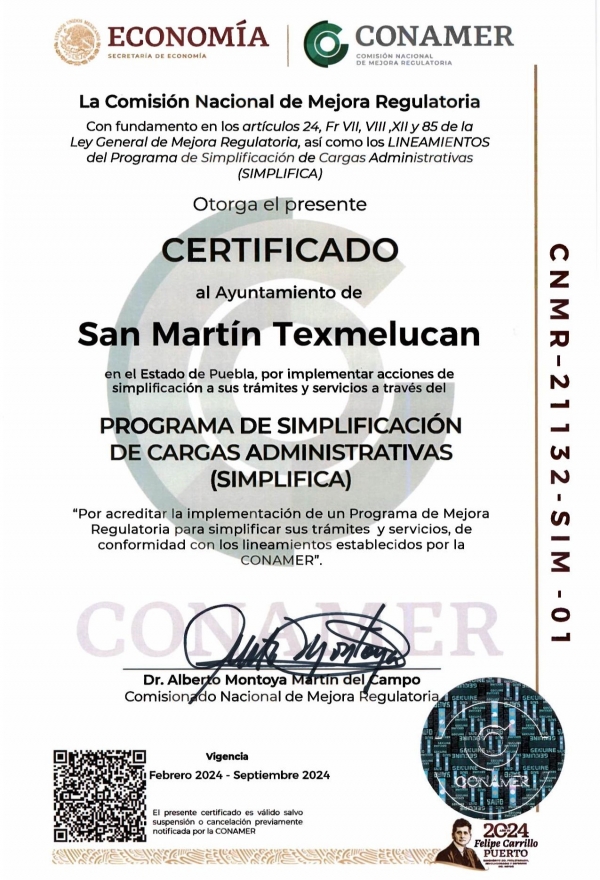 San Mart&iacute;n Texmelucan