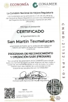 San Martín Texmelucan