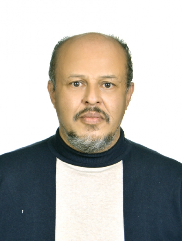 Ramón Rubín Falfán
