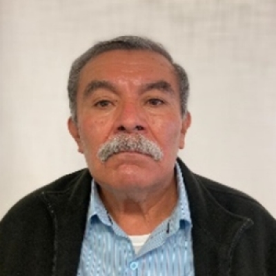 Fernando Flores Luna