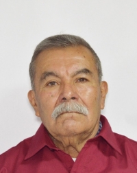 Fernando Flores Luna